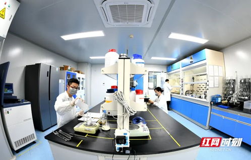 觀潮的螃蟹丨這個“國字號”會議為何選常德？探索生物科技領域的技術研發與轉讓新機遇